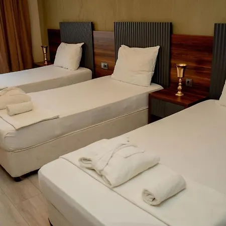 酒店 Altuncu Premium Termal Armutlu