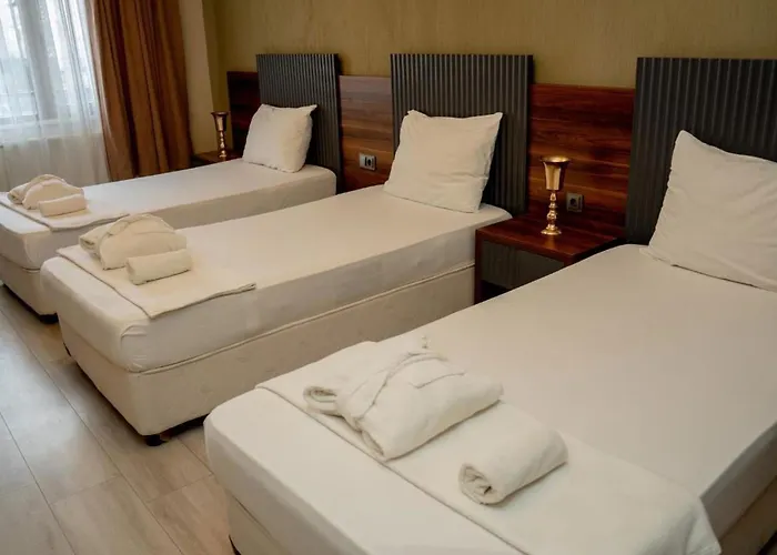 Hotel Altuncu Premium Termal Armutlu